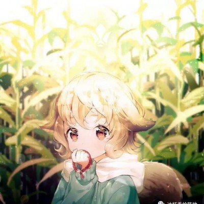 美第一夫人祸从口出